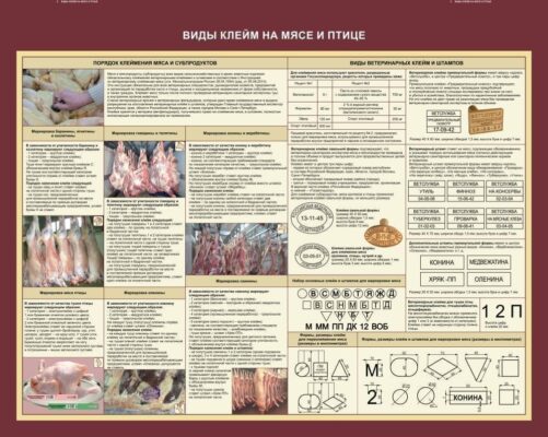 Стенд «Виды клейм на мясе и птиц»
